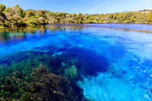 Te Waikoropupu Springs