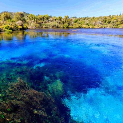 Te Waikoropupu Springs