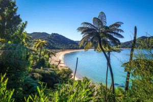 Abel Tasman Park