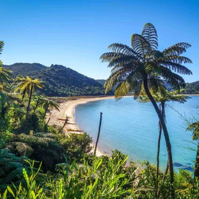 Abel Tasman Park