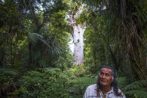 Tane Mahuta