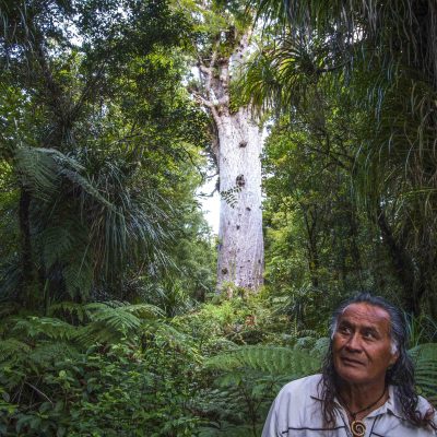 Tane Mahuta