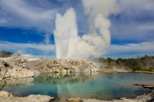 Te Puia - Pohutu Geyser