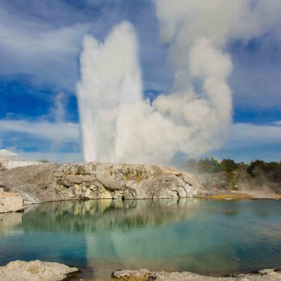 Te Puia - Pohutu Geyser