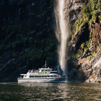 194_MSSF October 2024