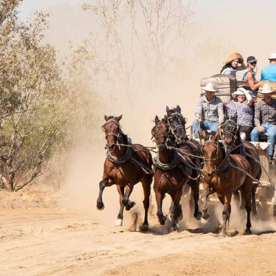 OP-ECC-kicking-up-dust